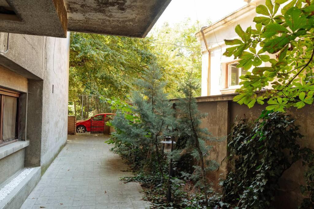 Amazing Studio - Top Location - Netflix Bukareszt Zewnętrze zdjęcie